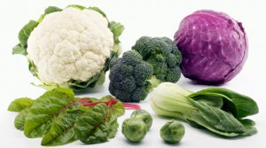 Rau cải, các loài rau cải phố biến triển thị trường Việt nam