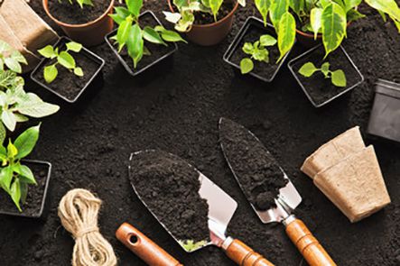 Những công cụ, dụng cụ cần chuẩn bị khi làm vườn tại nhà