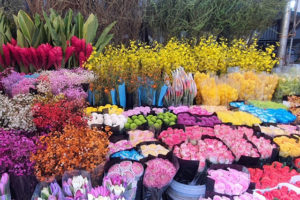 Chợ hoa Quảng Bá nằm ở đê Nghi Tàm - quận Tây Hồ